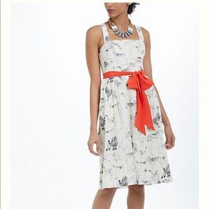 Anthropologie Maeve Fetch and Frolic dress